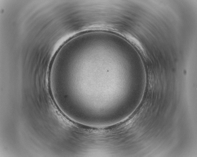 X0000086941288200704161419