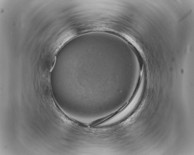 X0000086941289200704161419