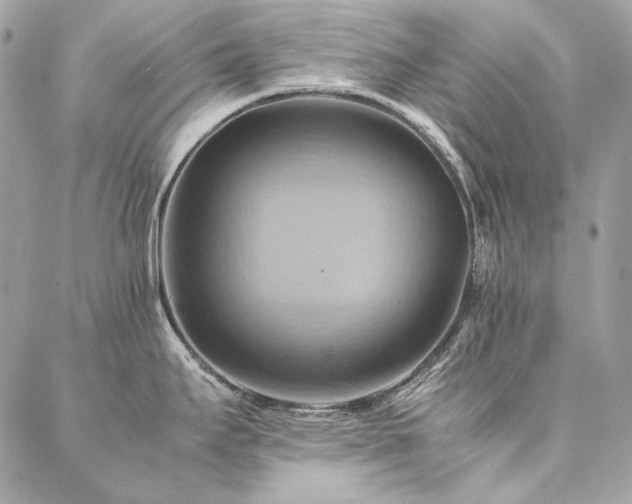 X0000086941295200704161419