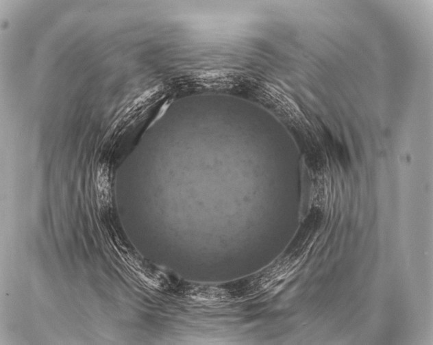 X0000086941298200704161418