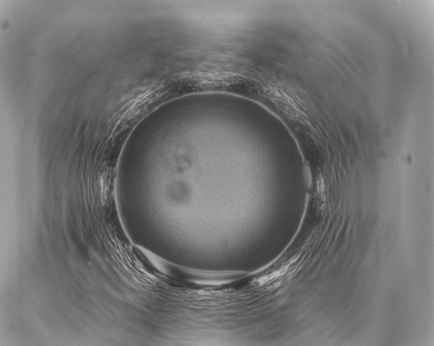 X0000086941300200704161418