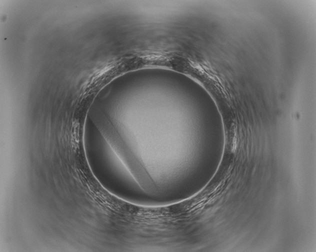 X0000086941301200704161419