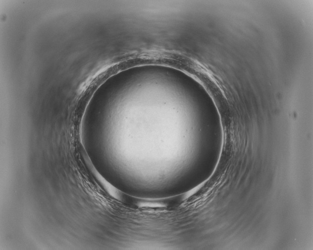 X0000086941304200704161419