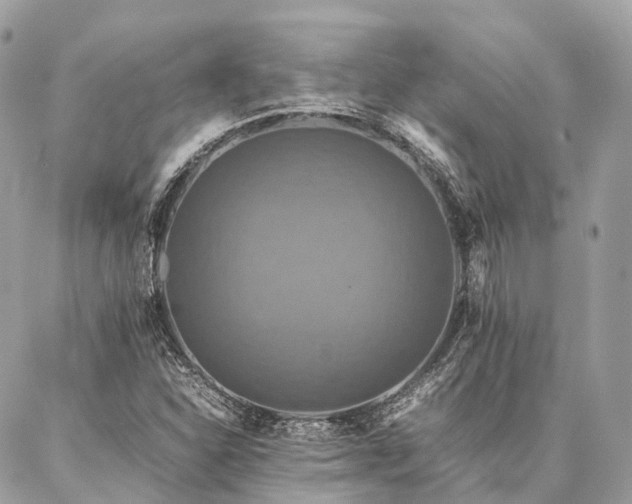 X0000086941310200704161419