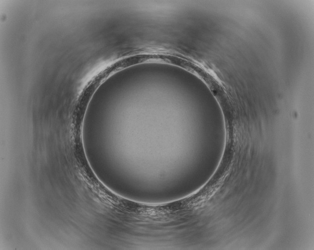 X0000086941311200704161419