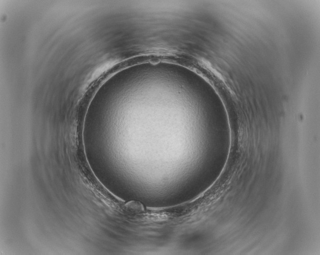 X0000086941315200704161419