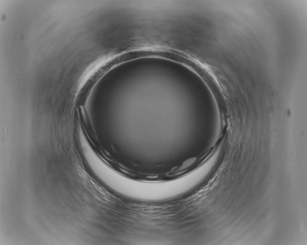 X0000086941319200704161419