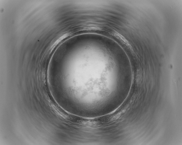 X0000086941321200704161419