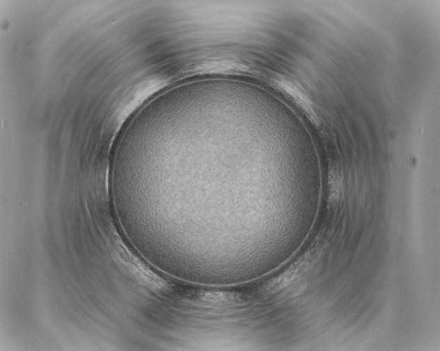 X0000086941322200704161419