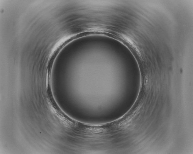 X0000086941323200704161419