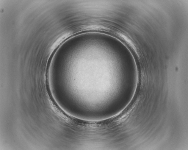X0000086941330200704161419