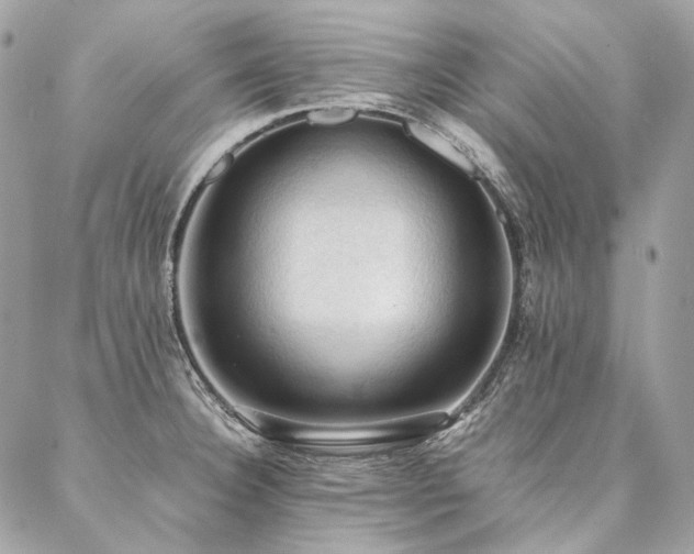 X0000086941332200704161419
