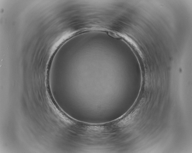 X0000086941333200704161419