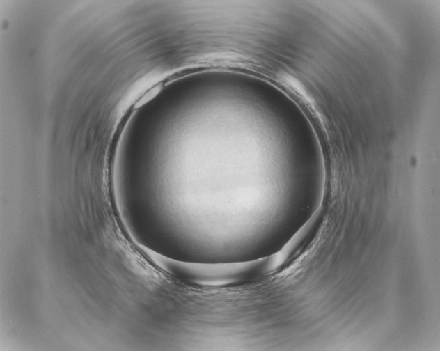 X0000086941336200704161419