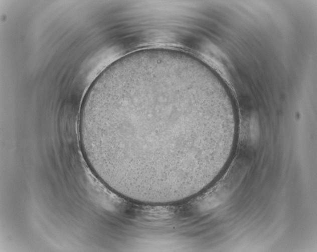 X0000086941338200704161419