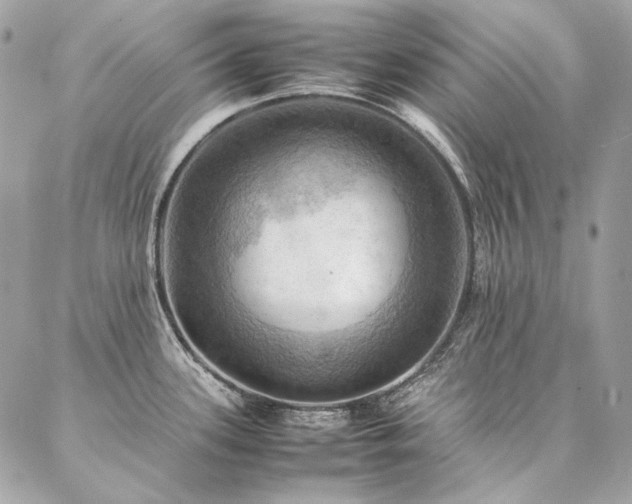 X0000086941339200704161419