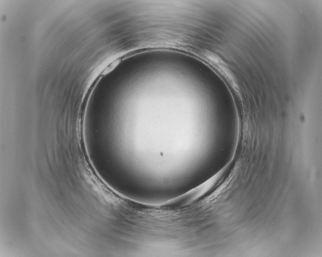 X0000086941340200704161419