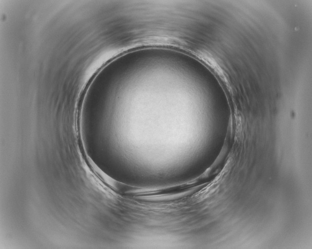 X0000086941342200704161419