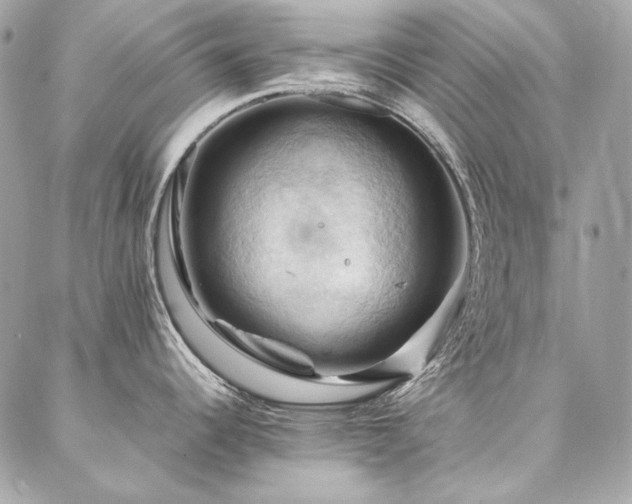 X0000086941344200704161419