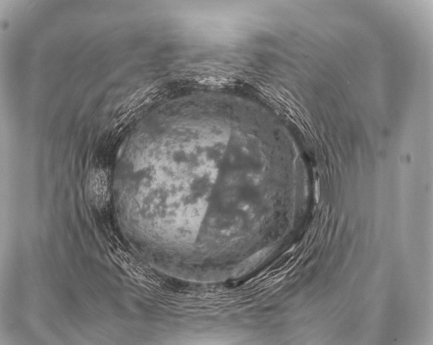 X0000086941347200704161418