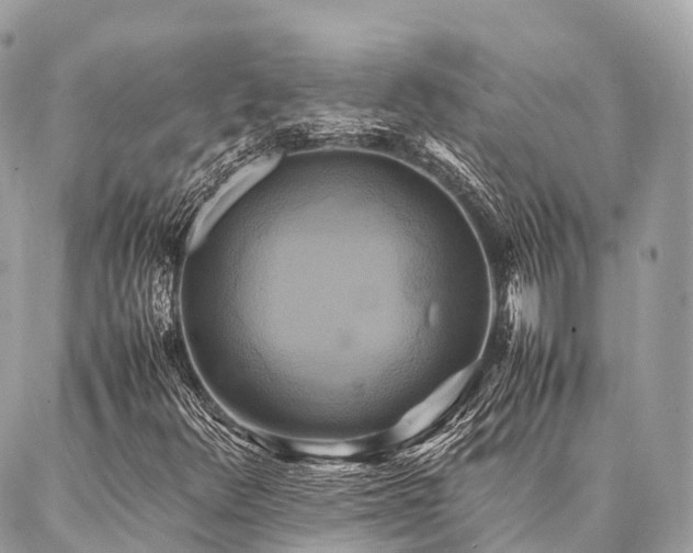 X0000086941348200704161418