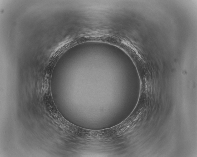 X0000086941350200704161418