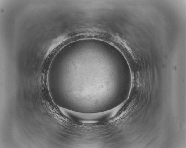 X0000086941352200704161418