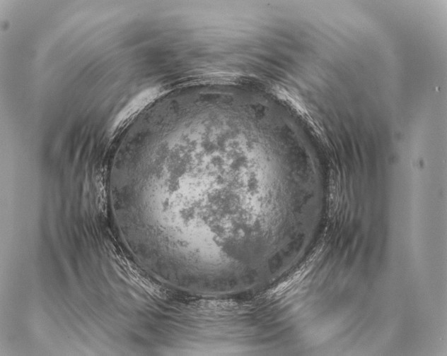 X0000086941354200704161418