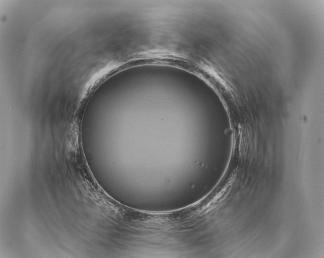 X0000086941358200704161418