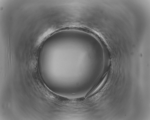 X0000086941359200704161418