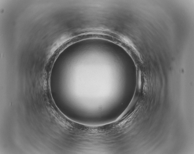 X0000086941360200704161418