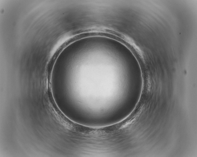 X0000086941368200704161418