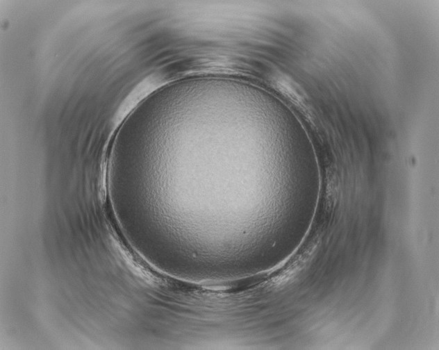 X0000086941370200704161418