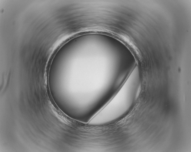 X0000086941372200704161418