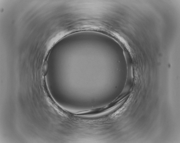 X0000086941373200704161418