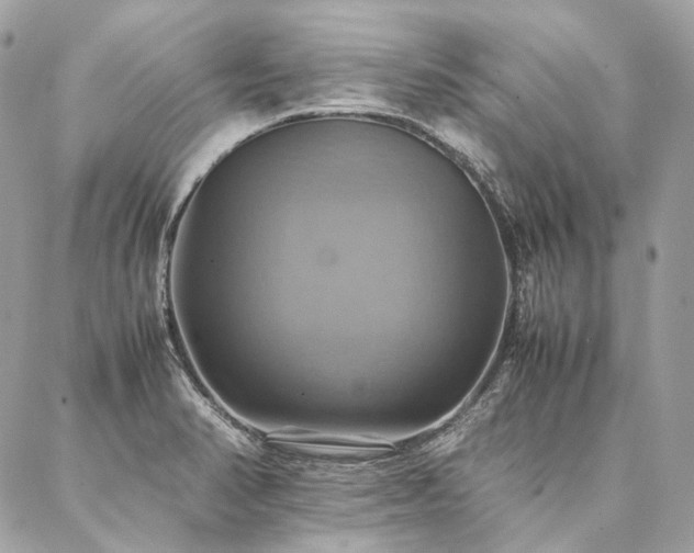 X0000086941374200704161418