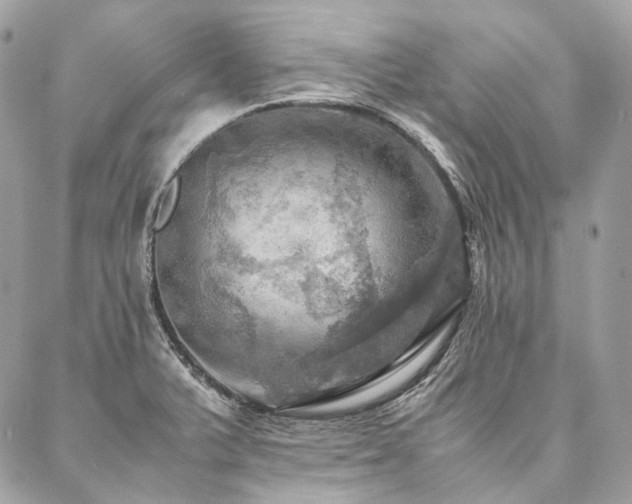 X0000086941375200704161418