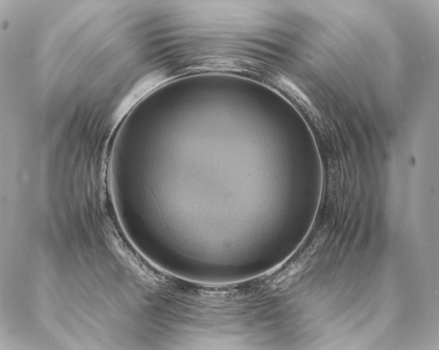 X0000086941378200704161418