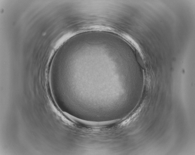 X0000086941381200704161418