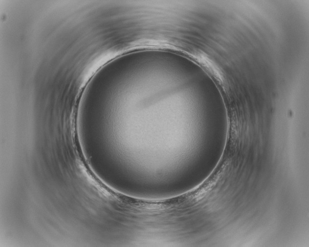 X0000086941382200704161418