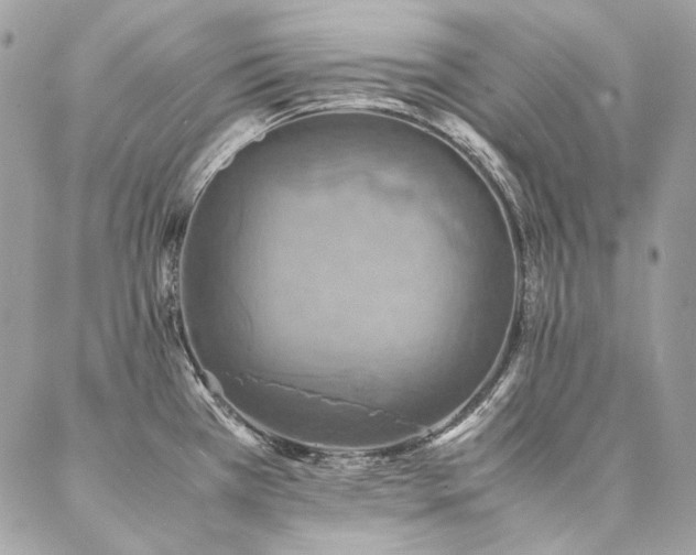 X0000086941385200704161418