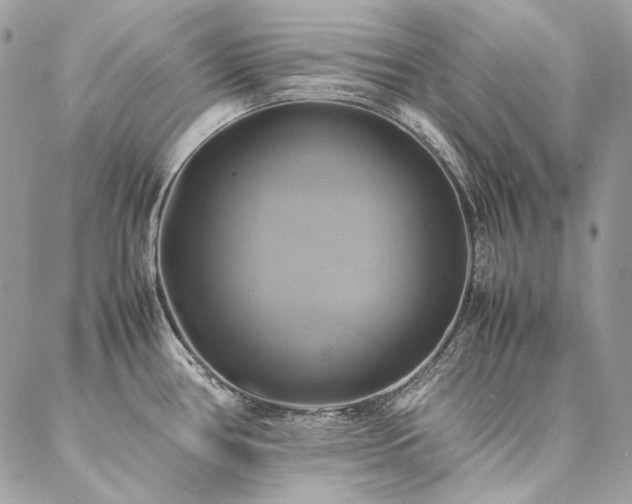 X0000086941386200704161418