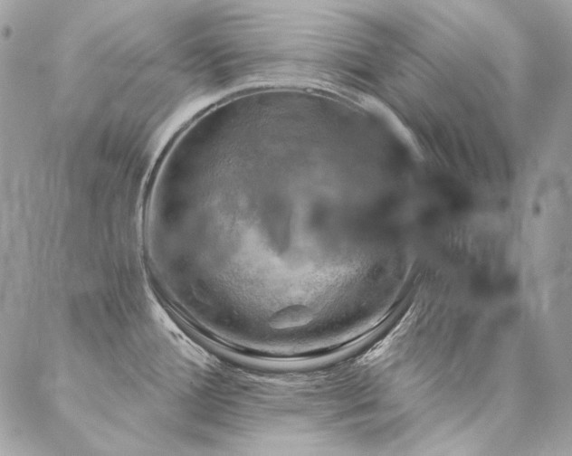 X0000086941388200704161418