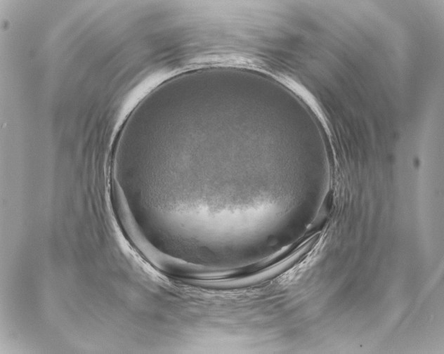 X0000086941389200704161418