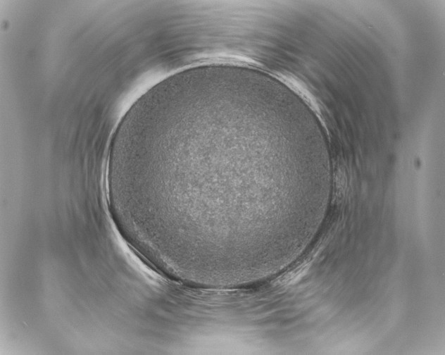 X0000086941391200704161418