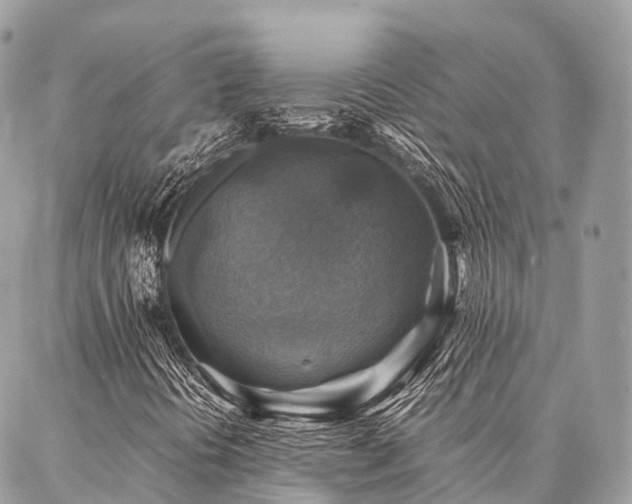 X0000086941394200704161417