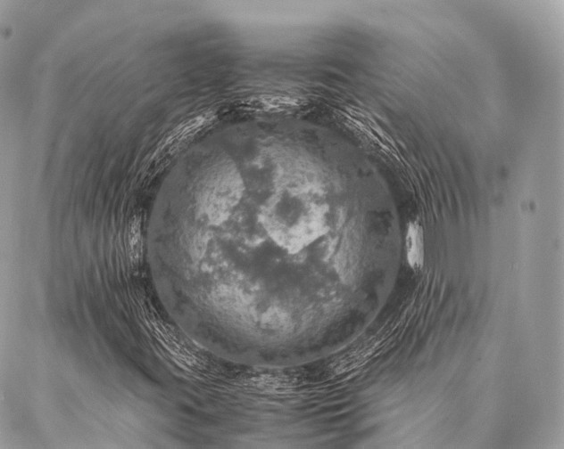 X0000086941395200704161417