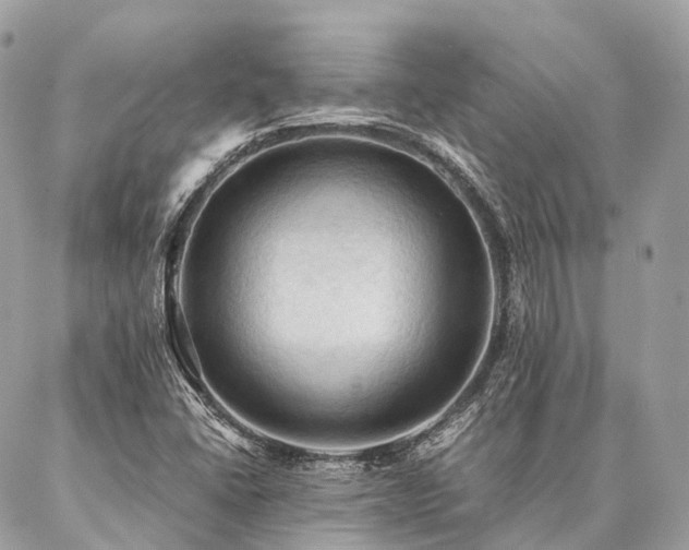 X0000086941406200704161417