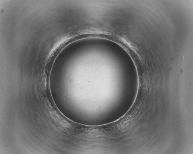 X0000086941408200704161417
