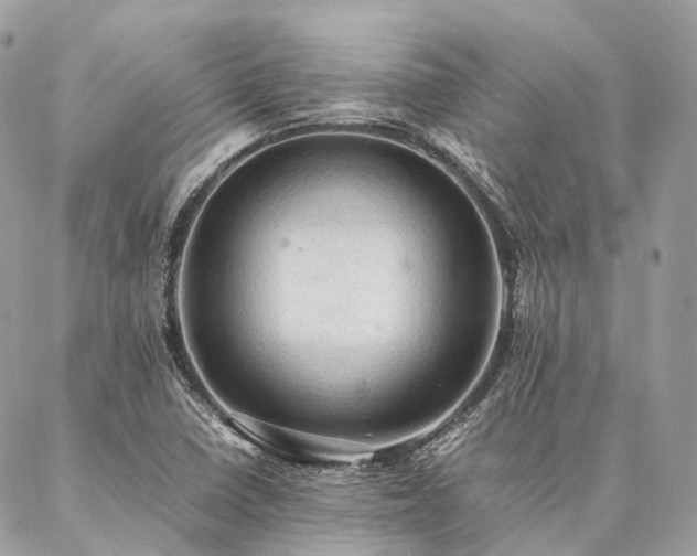 X0000086941410200704161417